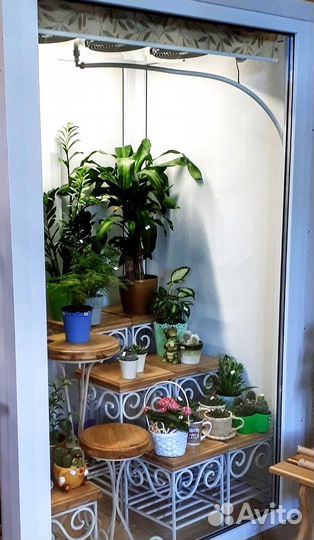 Холодильная камера для цветов