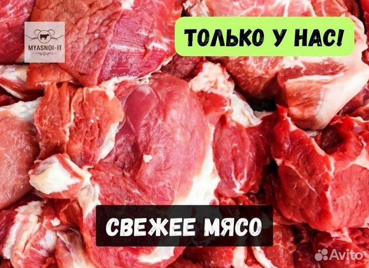 Мясо телятины