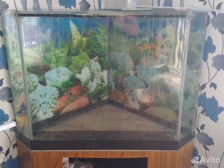 Аквариум с тумбой