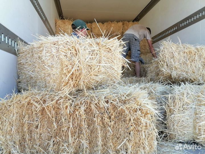 Сено, солома опт/розница