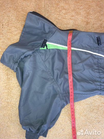 Комбинезон для собаки мальчика Barsu