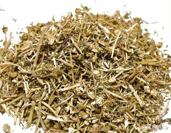 Ярутка для мужского здоровья