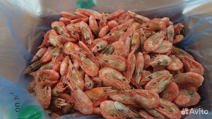 Креветка северная 70 90 Мурманск