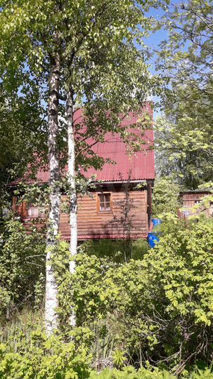 Дом 48 м² на участке 12 сот.