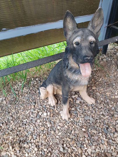 Собачка декоративная