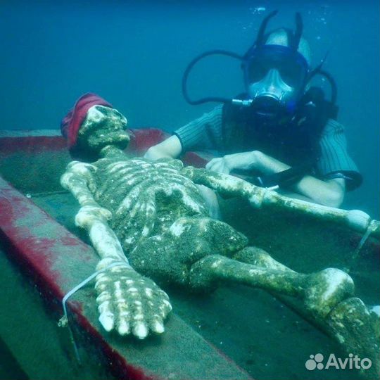 Дайвинг Сочи/Адлер