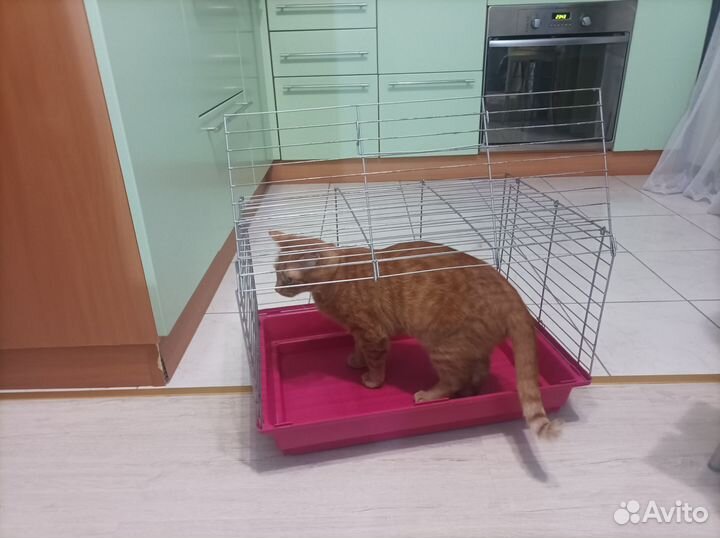 Клетка для кролика или других грызунов