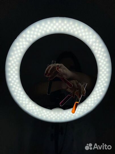 Репетитор по химии, биологии и анатомии