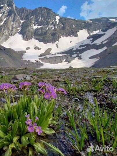 Поход в горы