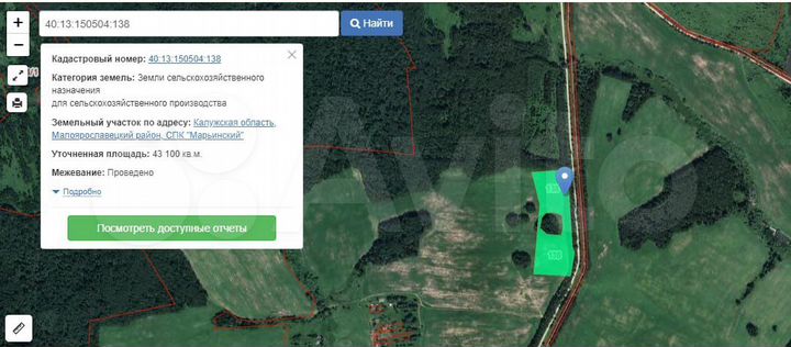 Участок 4,31 га (СНТ, ДНП)