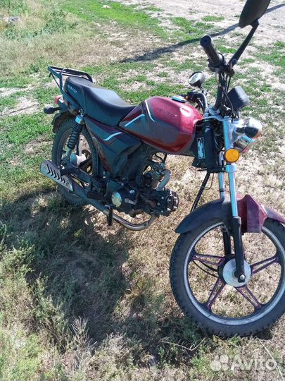 Vento