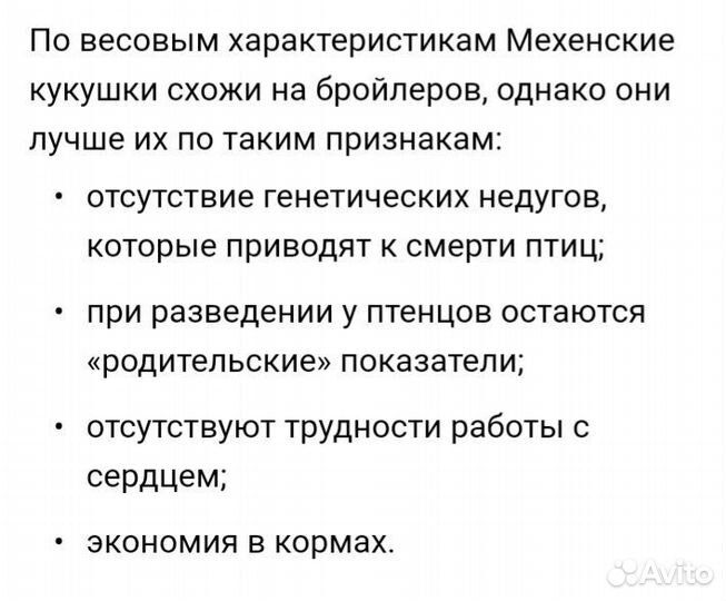 Ия Мехеленской кукушки