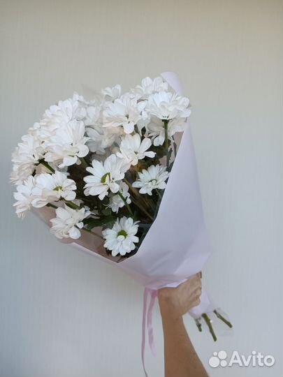 Ромашки. Букет Ромашек