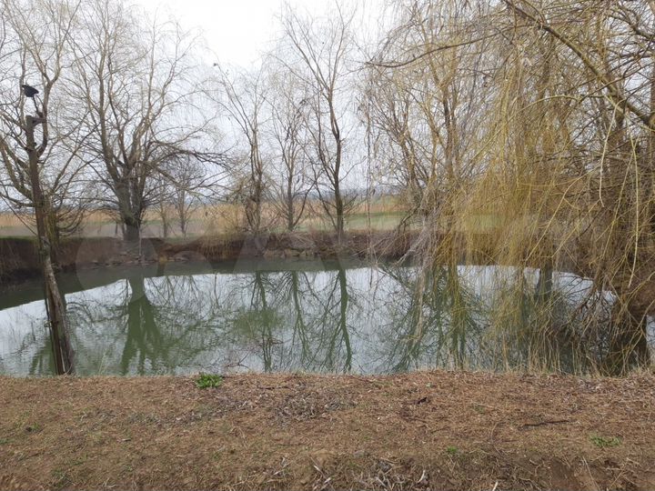 Дом 73 м² на участке 44 сот.