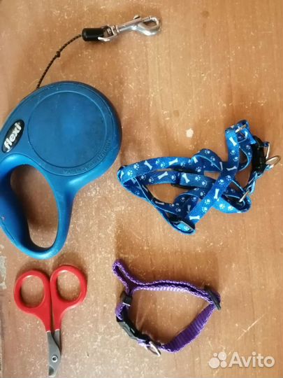 Всякое для животных