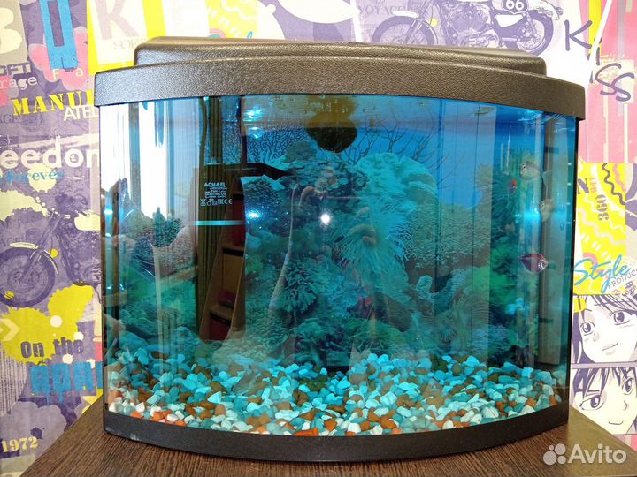 Аквариум