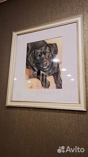 Портреты питомцев сухой пастелью