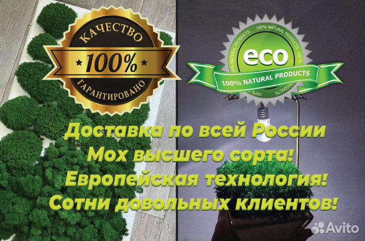 Стабилизированный мох от поставщика опт от 10кг