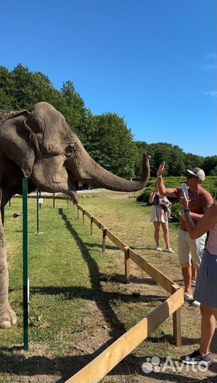 Индивидуальный тур