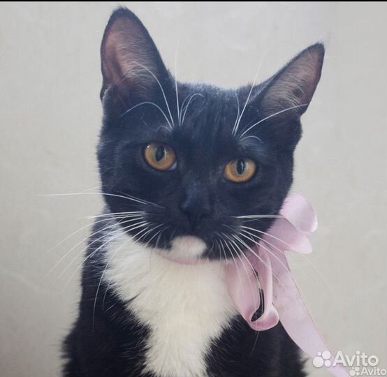 Белые носочки и нежная душа Лилу