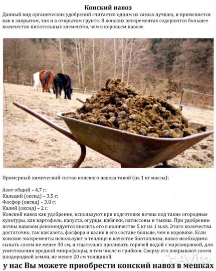 Конский навоз