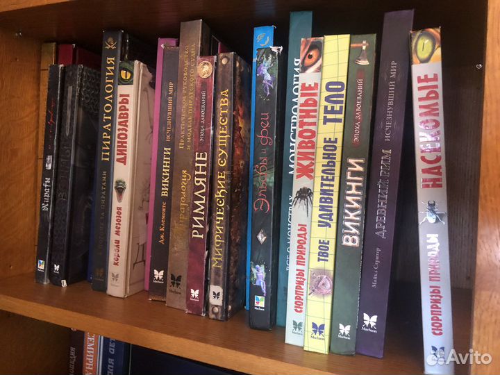 Полная коллекция (41 шт) интерактивных книг Махаон