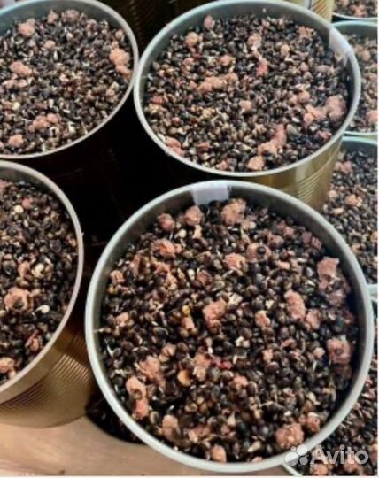 Зерновая смесь Конопля с ливером 900 мл