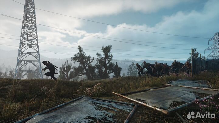 Days Gone (Steam, Россия)