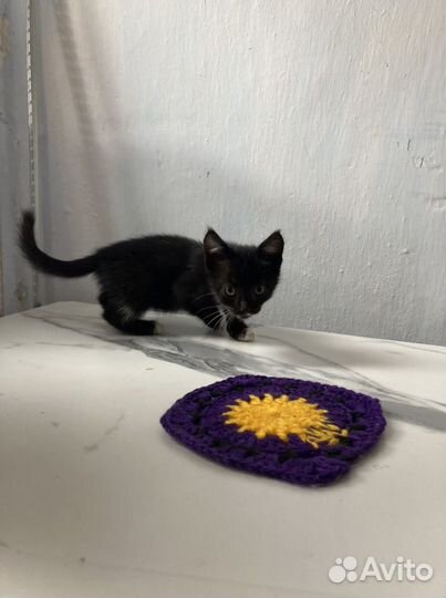 Вдобрые руки