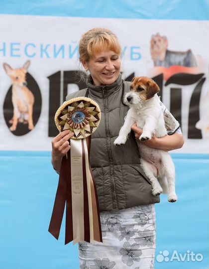 Услуги хендлера