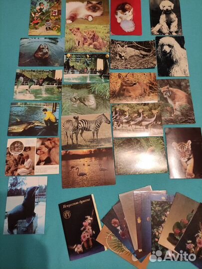 Открытки СССР. Немецкие открытки 80 г