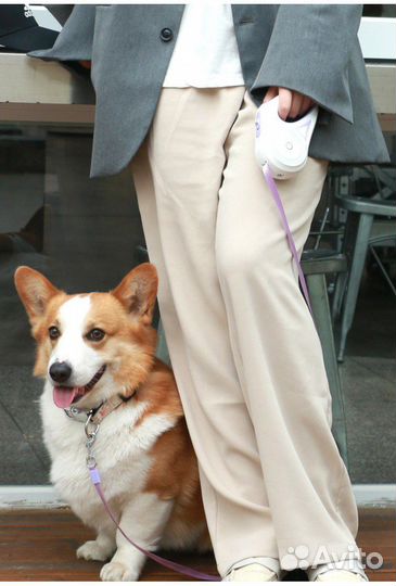 Поводок рулетка для собак 5 м