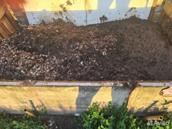 Куриный помет