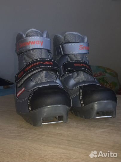 Лыжные ботинки spine