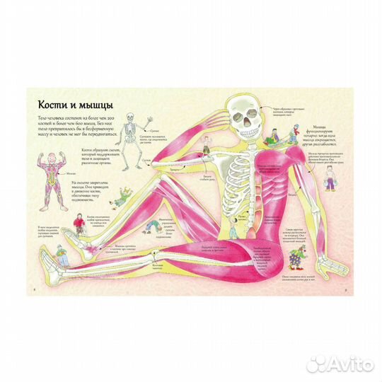 Книги с окошками робинс