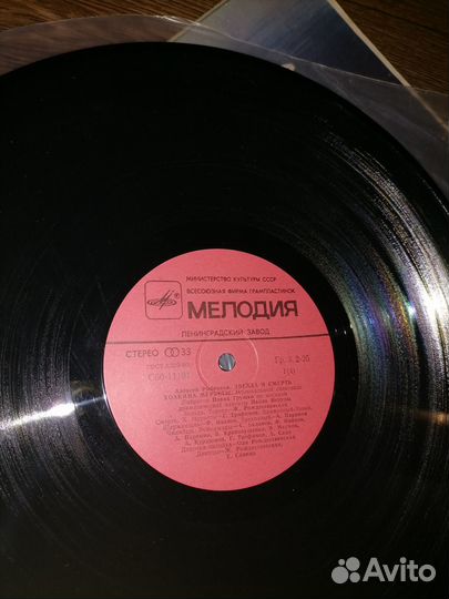 Пластинка Музыкальный спектакль