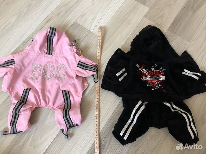 Одежда для собак мелких пород