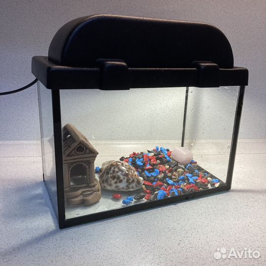 Аквариум/террариум 5 л с подсветкой и аксессуарами