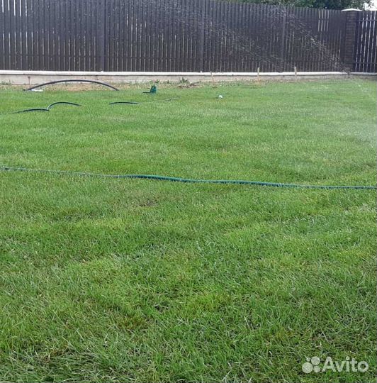 Рулонный газон, газон посевной