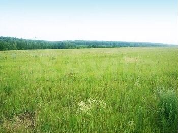 Участок 1,22 га (СНТ, ДНП)