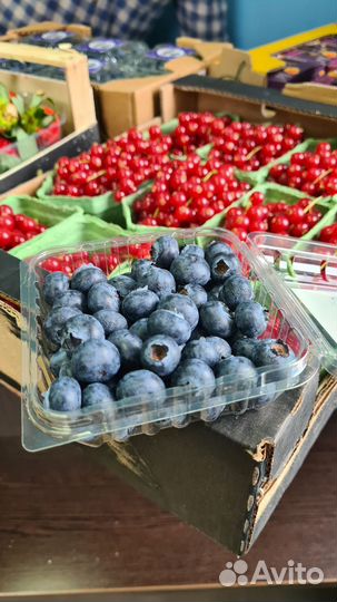 Голубика свежая