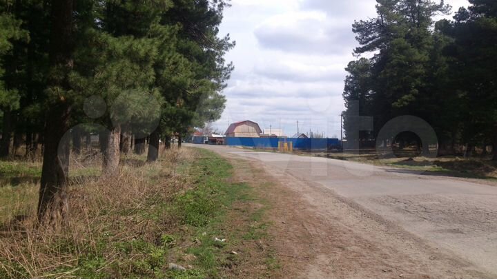 Участок 10 сот. (СНТ, ДНП)