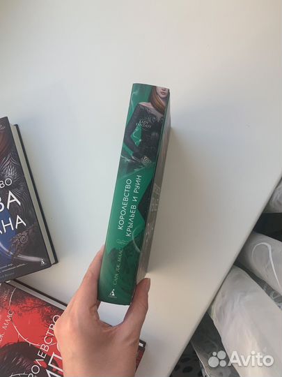 Королевство крыльев и руин