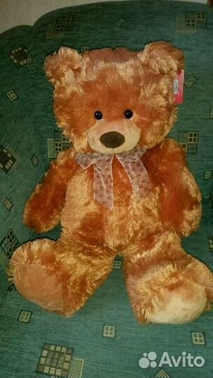 Новый мишка 80-м Aurora