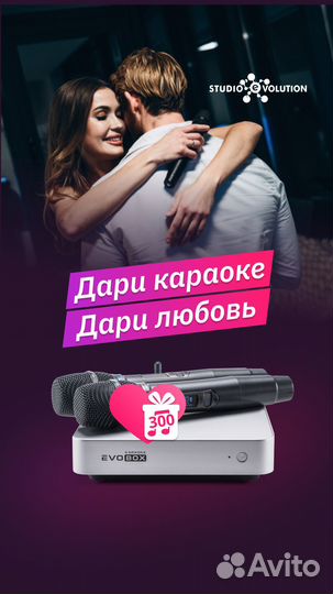 Караоке-система Evobox