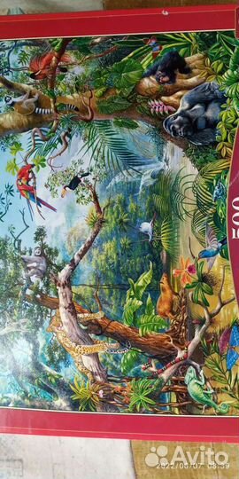 Настольные игры