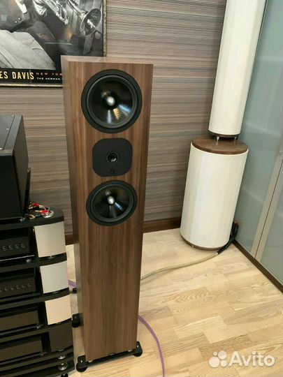 Neat Acoustics Momentum SX7i Напольная акустика