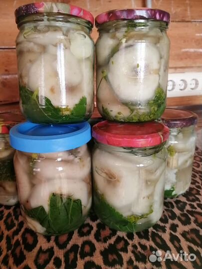 Грибы грузди