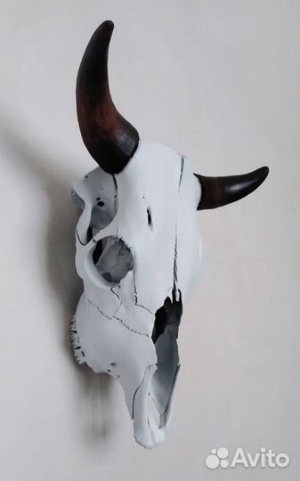 Череп бычий выбеленный