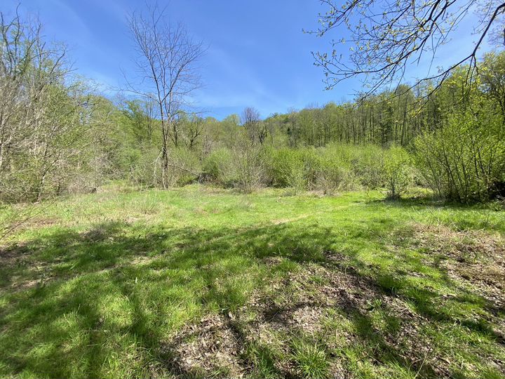 Участок 65 сот. (ИЖС)